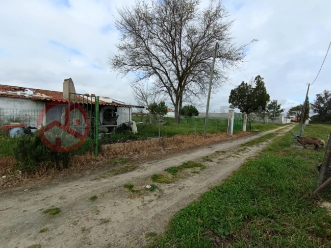 Terreno para Venda em Pinhal Novo Foto 13