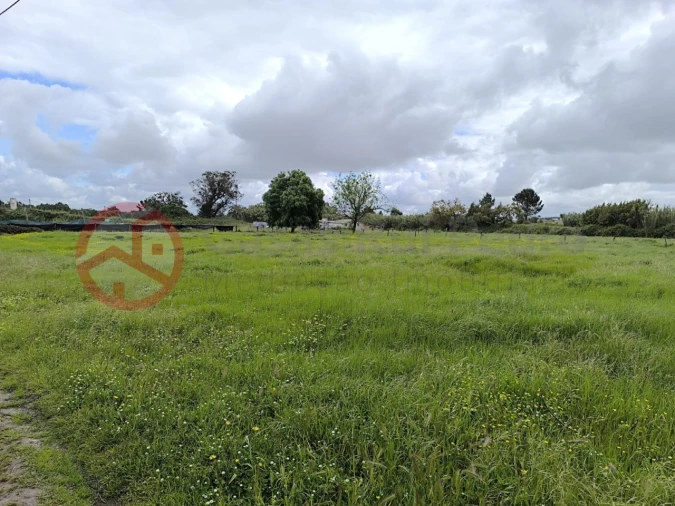 Terreno Misto para Venda em Pinhal Novo Foto 2