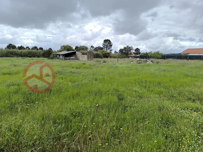 Terreno Misto para Venda em Pinhal Novo Foto 3