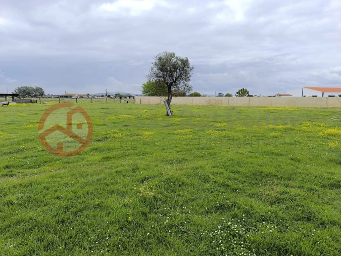 Terreno Misto para Venda em Pinhal Novo Foto 4