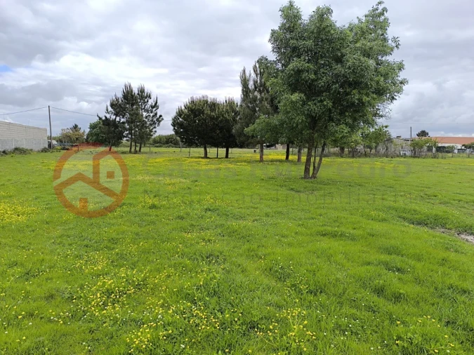 Terreno Misto para Venda em Pinhal Novo Foto 5