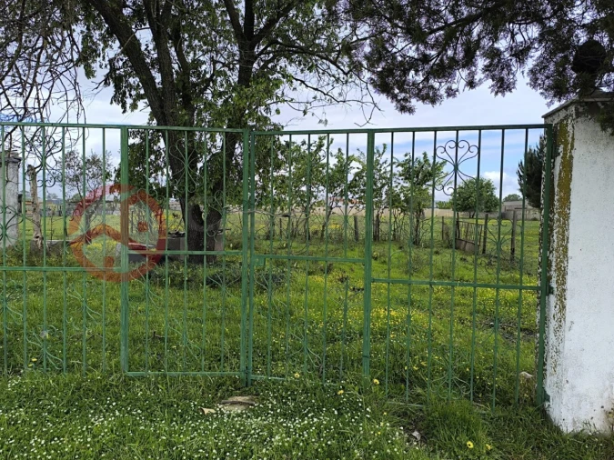Terreno Misto para Venda em Pinhal Novo Foto 6