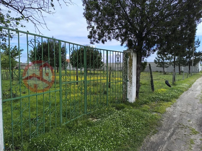 Terreno Misto para Venda em Pinhal Novo Foto 7