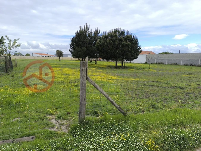 Terreno Misto para Venda em Pinhal Novo Foto 9