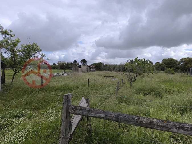 Terreno Misto para Venda em Pinhal Novo Foto 10