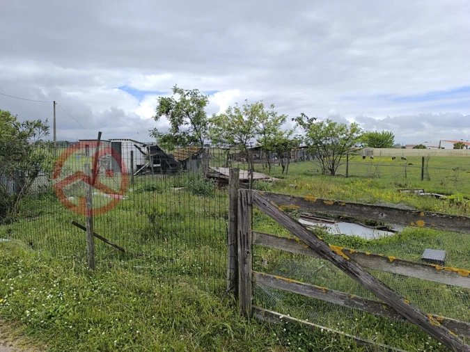 Terreno Misto para Venda em Pinhal Novo Foto 11