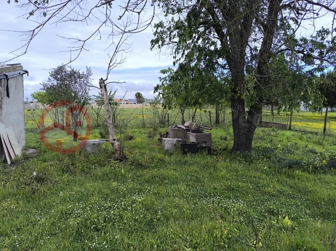 Terreno Misto para Venda em Pinhal Novo Foto 12