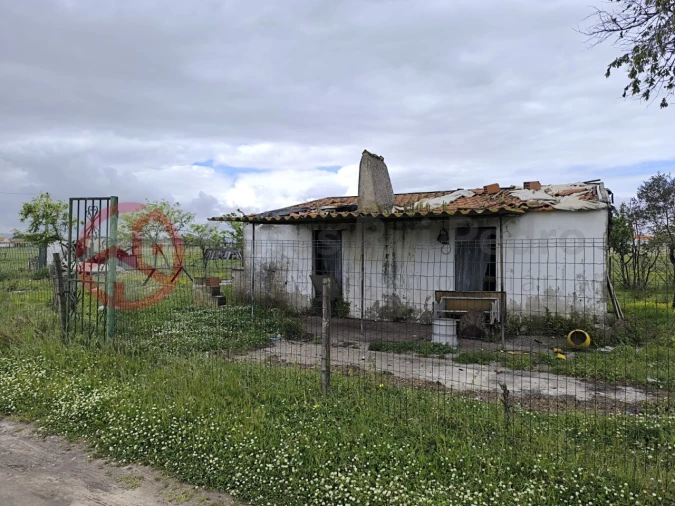 Terreno Misto para Venda em Pinhal Novo Foto 14