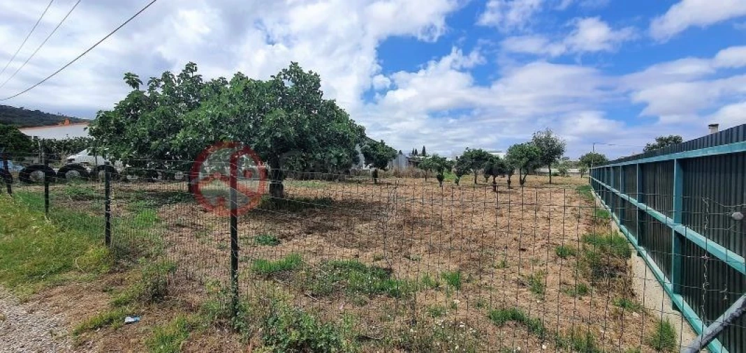 Terreno para Venda em Palmela Foto 7