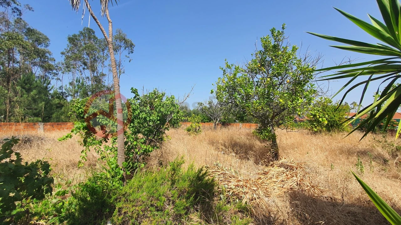 Terreno para Venda em Fernao Ferro Foto 7