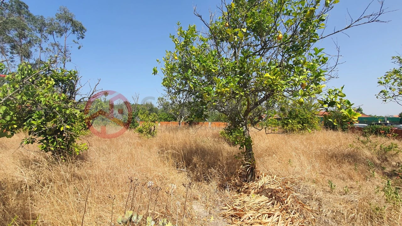 Terreno para Venda em Fernao Ferro Foto 9