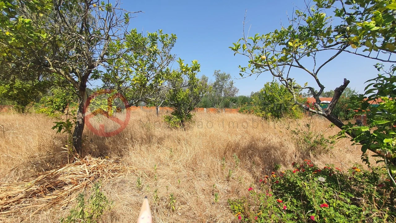 Terreno para Venda em Fernao Ferro Foto 10
