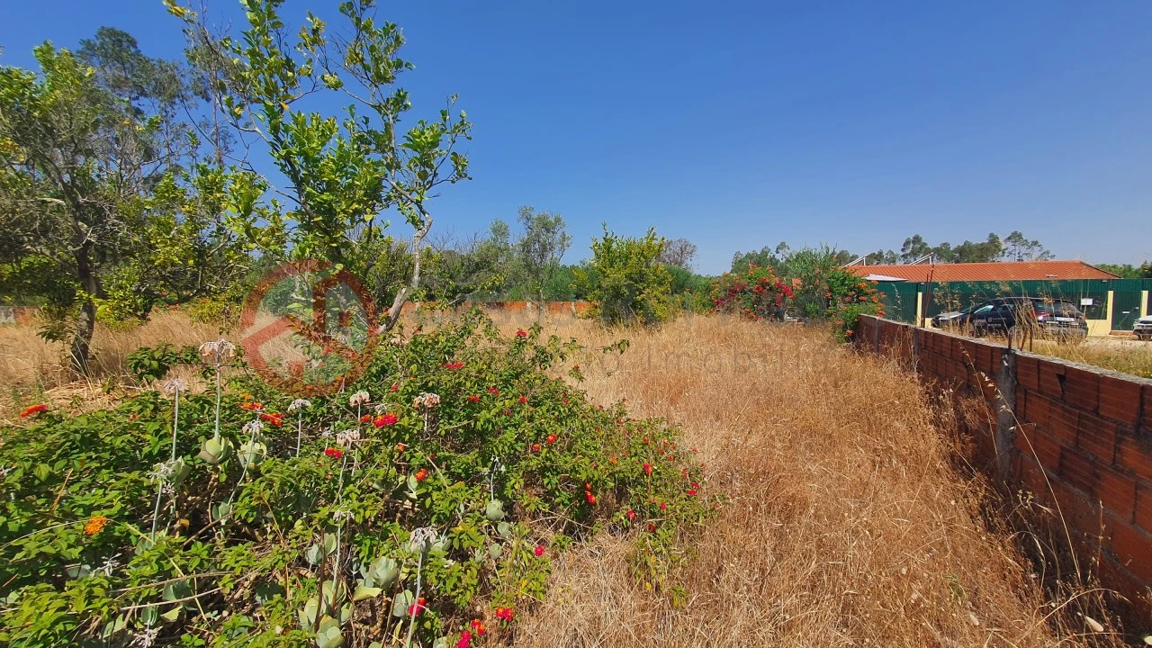 Terreno para Venda em Fernao Ferro Foto 11