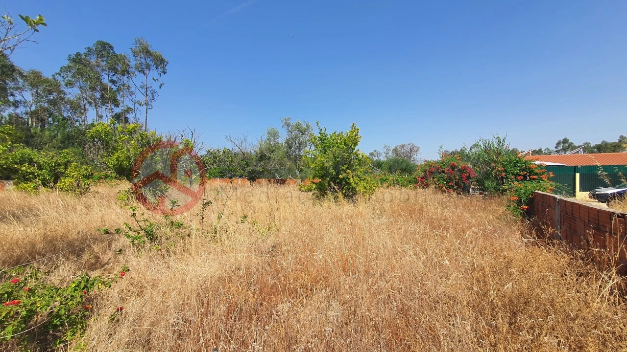 Terreno para Venda em Fernao Ferro Foto 12