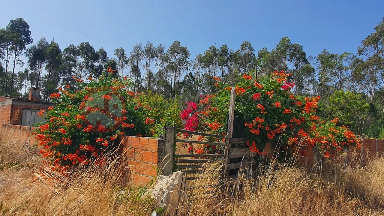 Terreno para Venda em Fernao Ferro Foto 14