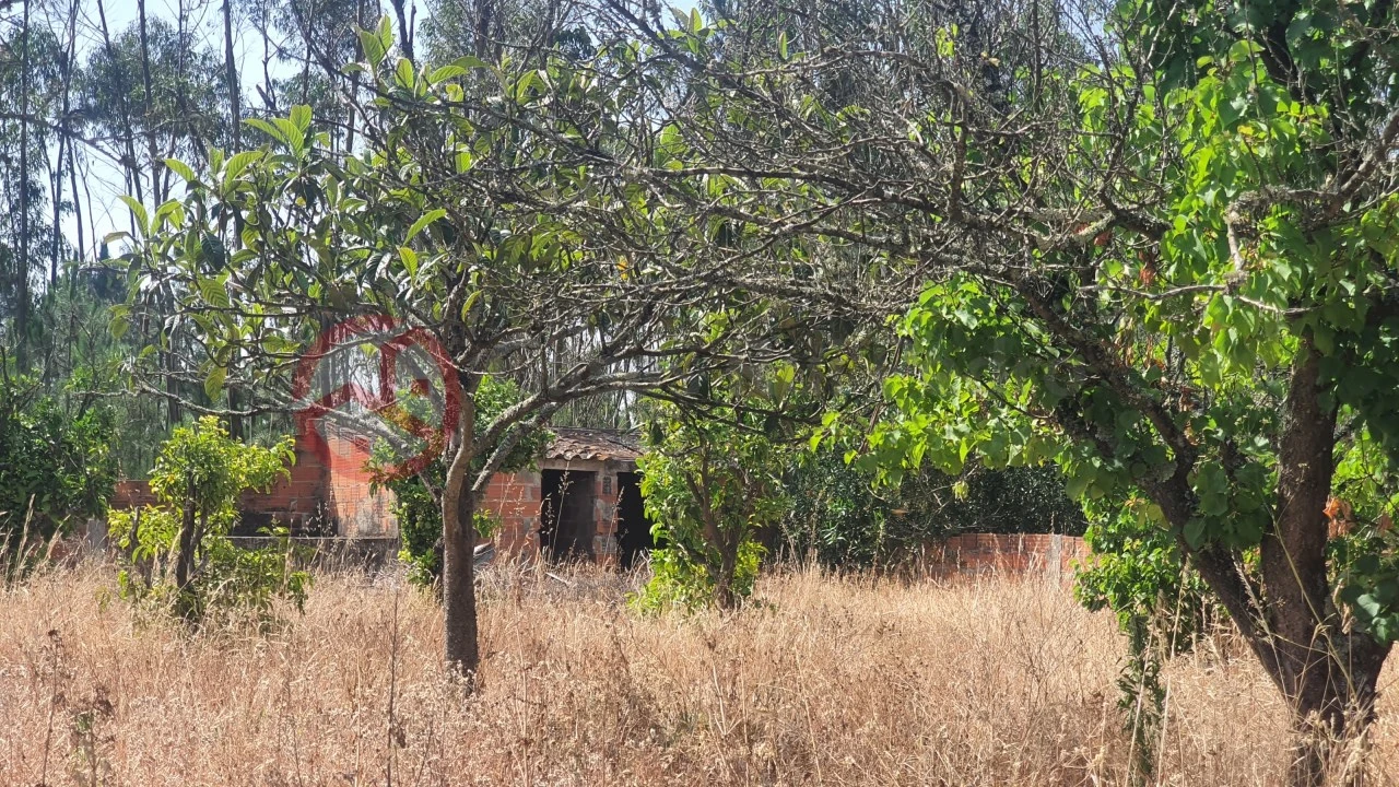 Terreno para Venda em Fernao Ferro Foto 15