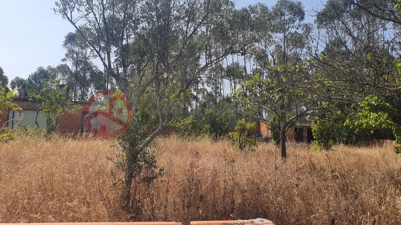 Terreno para Venda em Fernao Ferro Foto 16