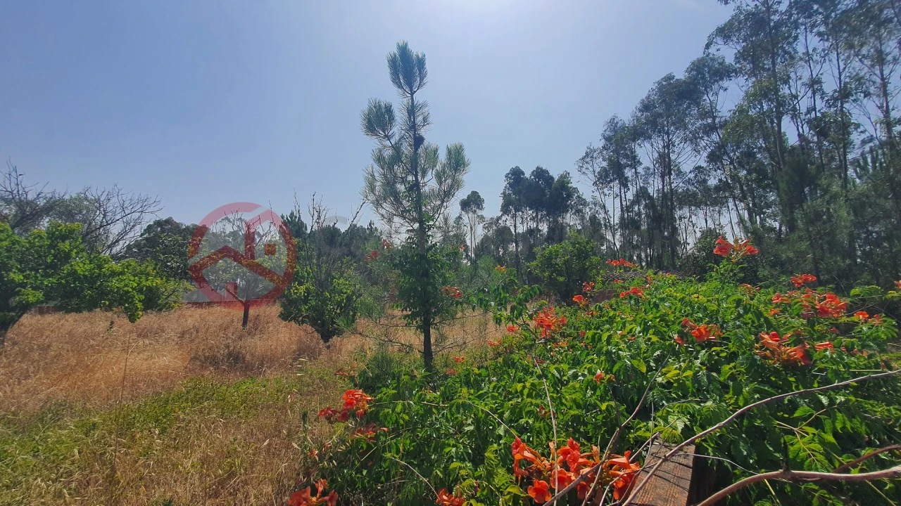 Terreno para Venda em Fernao Ferro Foto 18