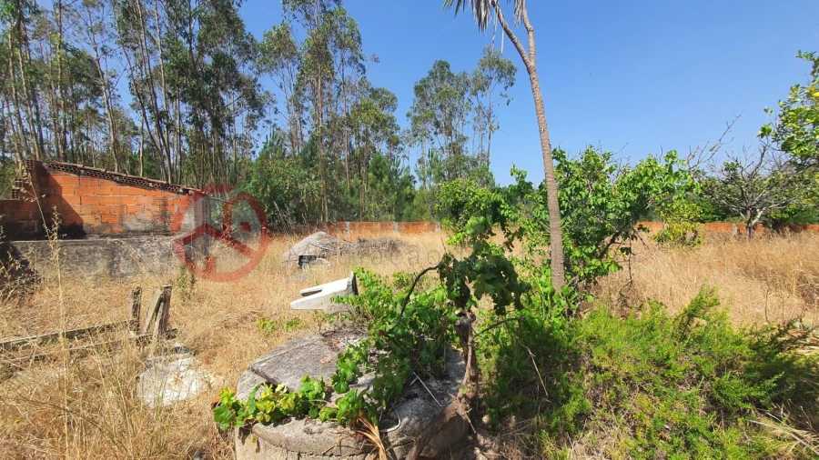 Terreno para Venda em Fernao Ferro Foto 6