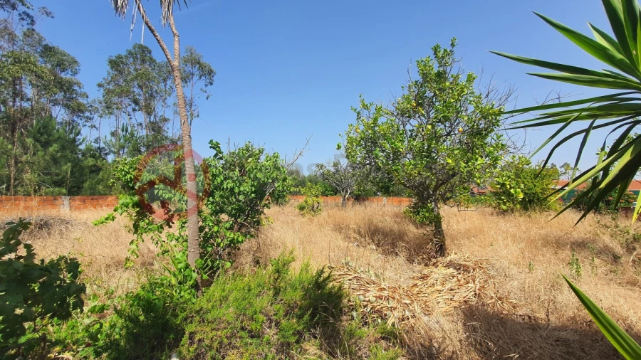 Terreno para Venda em Fernao Ferro Foto 7