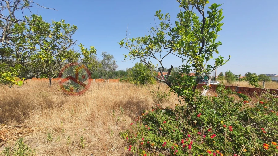 Terreno para Venda em Fernao Ferro Foto 8