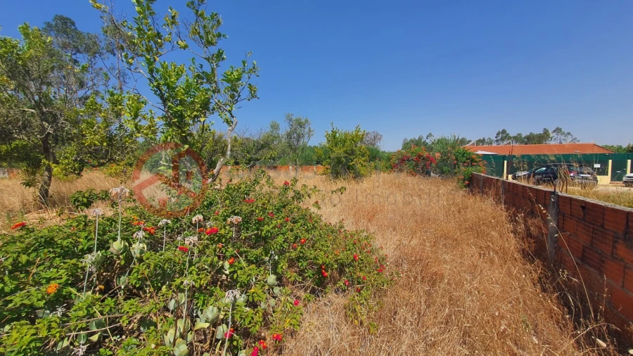 Terreno para Venda em Fernao Ferro Foto 11