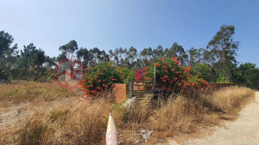 Terreno para Venda em Fernao Ferro Foto 13