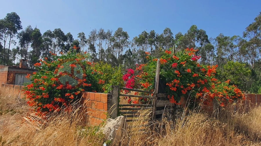 Terreno para Venda em Fernao Ferro Foto 14