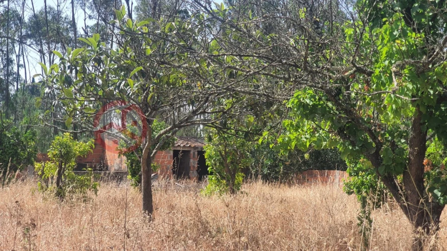 Terreno para Venda em Fernao Ferro Foto 15