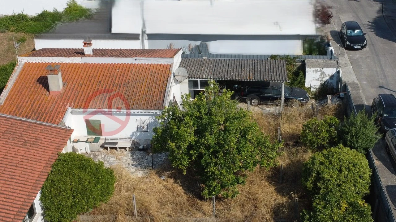 Terreno para Venda em Azeitão (São Lourenço e São Simão) Foto 11