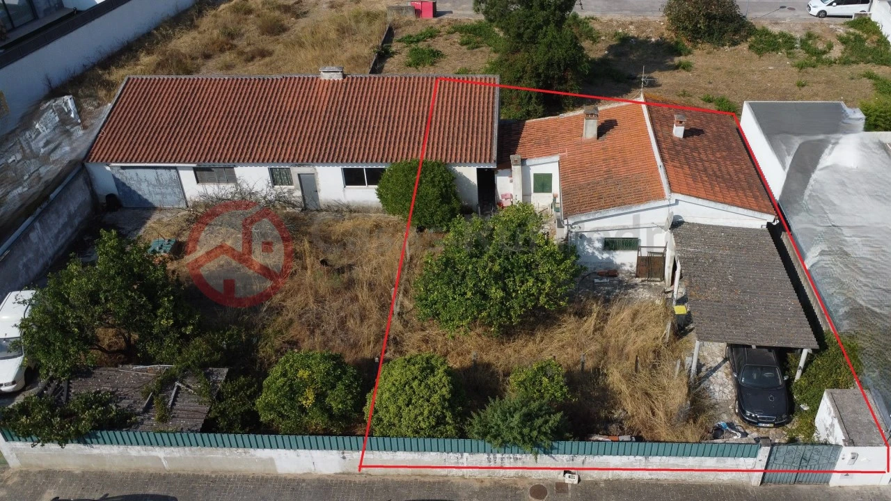 Terreno para Venda em Azeitão (São Lourenço e São Simão) Foto 13