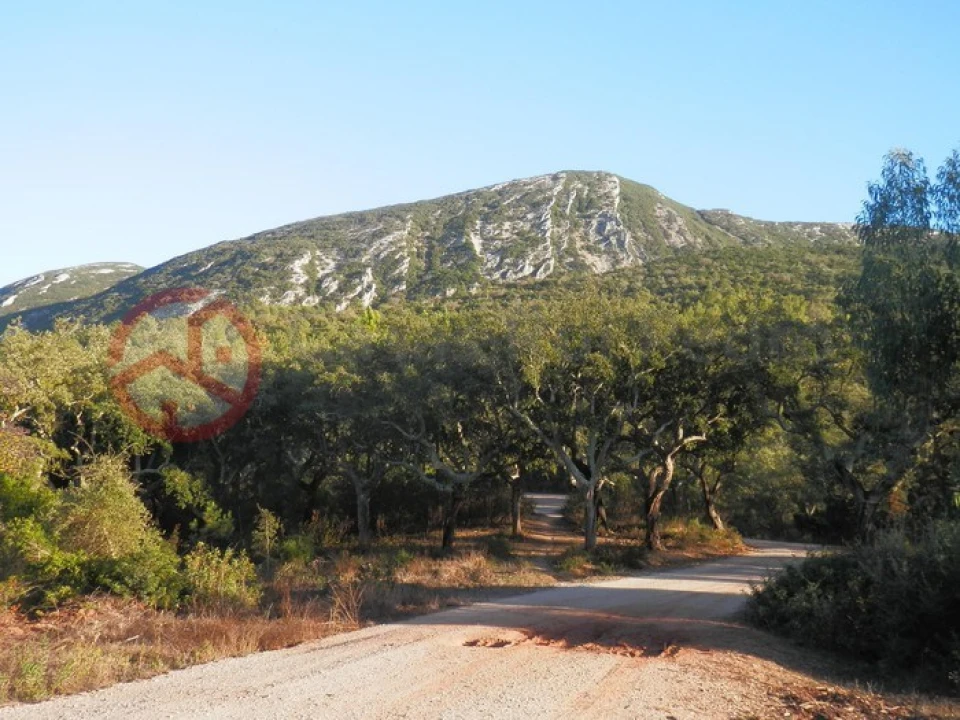 Terreno para Venda em Azeitão (São Lourenço e São Simão) Foto 19