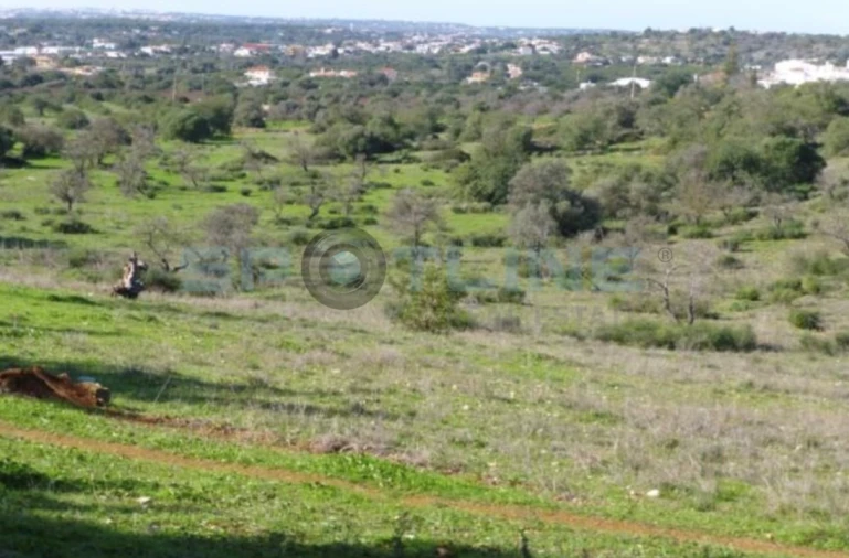Terreno para Venda em Loule (São Sebastião) Foto 5