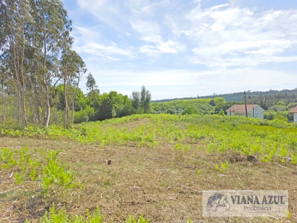 Terreno para Venda em Nogueira, Meixedo e Vilar de Murteda Foto 9