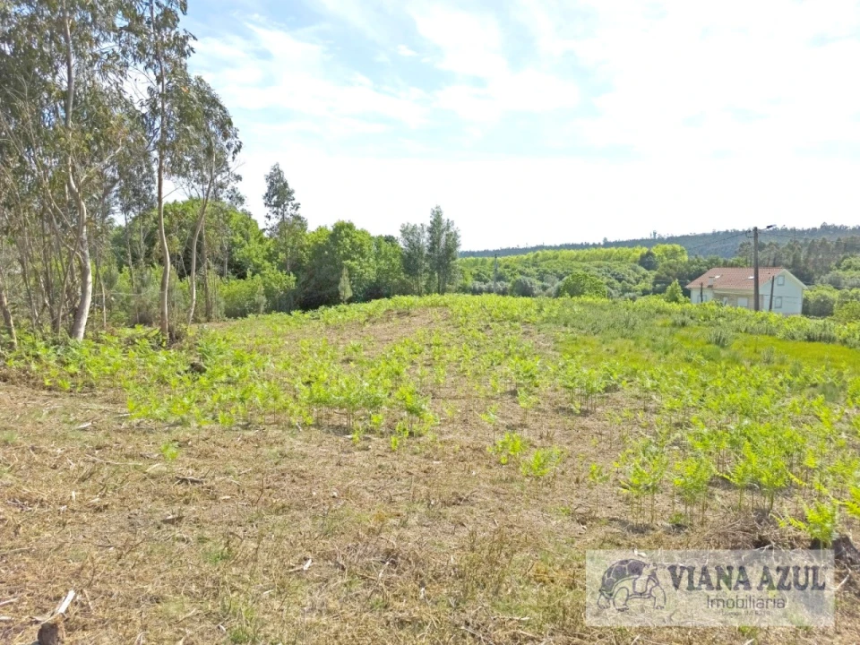 Terreno para Venda em Nogueira, Meixedo e Vilar de Murteda Foto 10