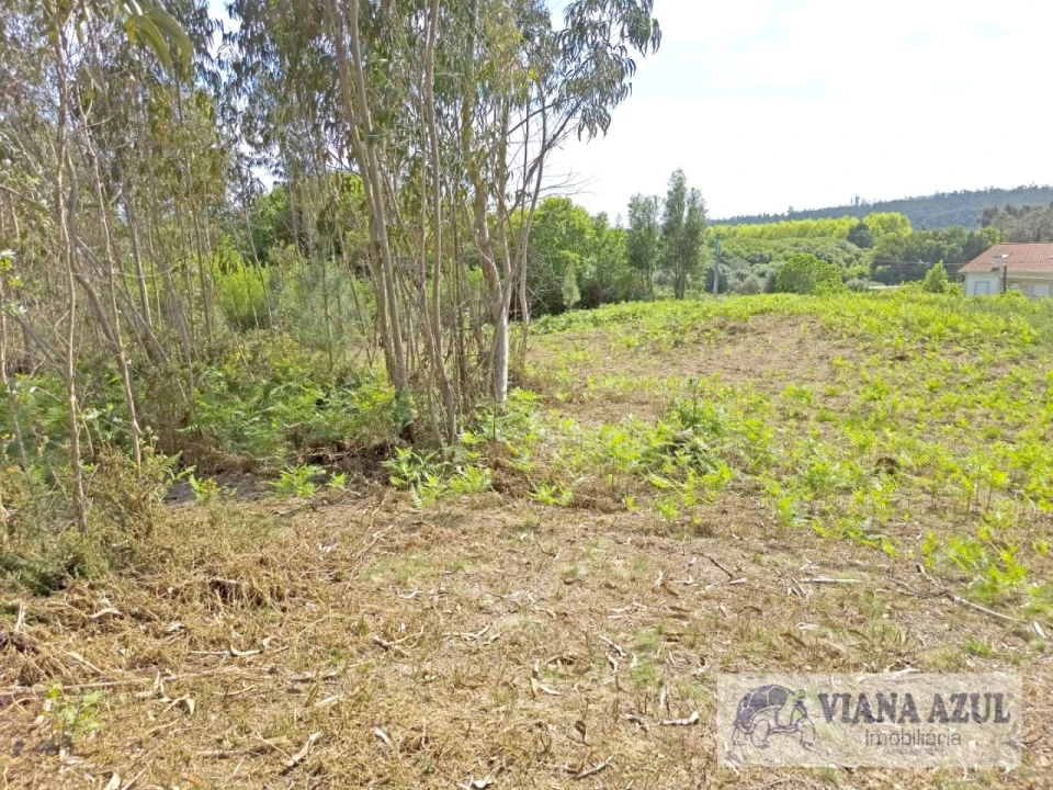 Terreno para Venda em Nogueira, Meixedo e Vilar de Murteda Foto 15