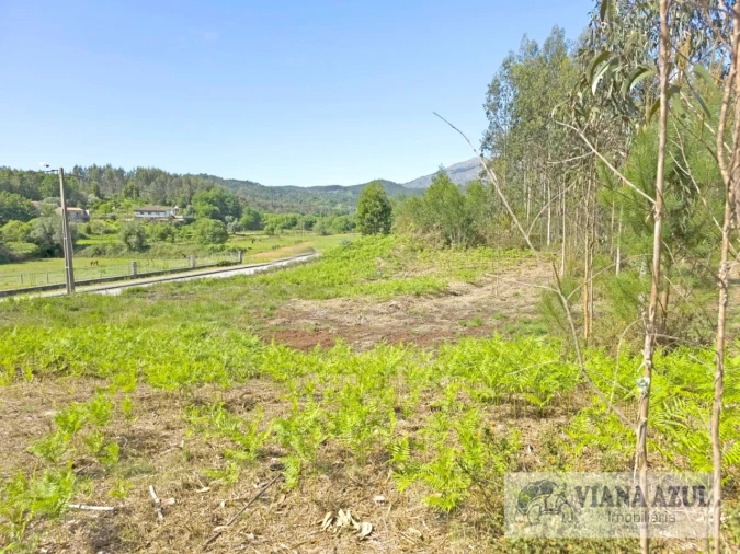 Terreno para Venda em Nogueira, Meixedo e Vilar de Murteda Foto 13