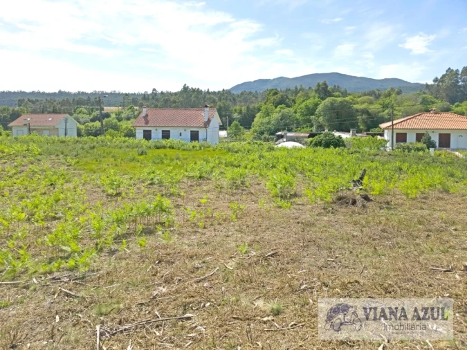 Terreno para Venda em Nogueira, Meixedo e Vilar de Murteda Foto 14