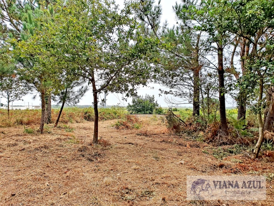 Terreno para Venda em Carreço Foto 1