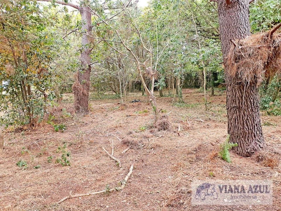 Terreno para Venda em Carreço Foto 2