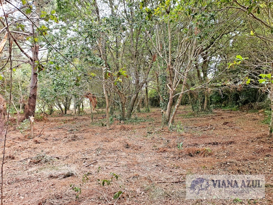 Terreno para Venda em Carreço Foto 3