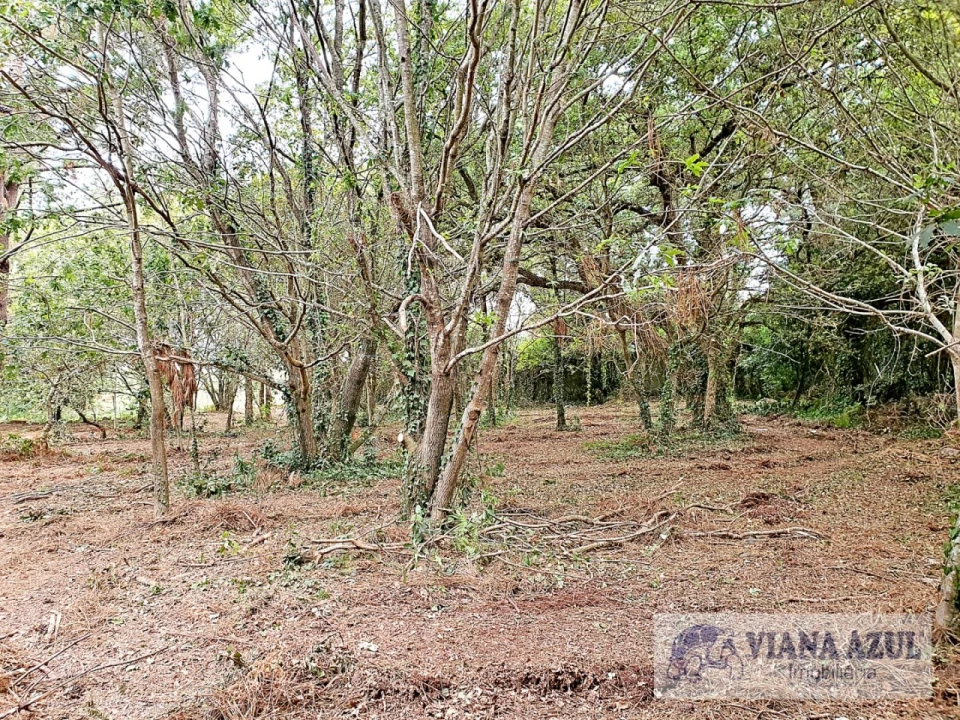 Terreno para Venda em Carreço Foto 4