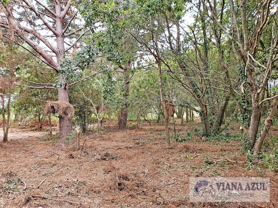 Terreno para Venda em Carreço Foto 5