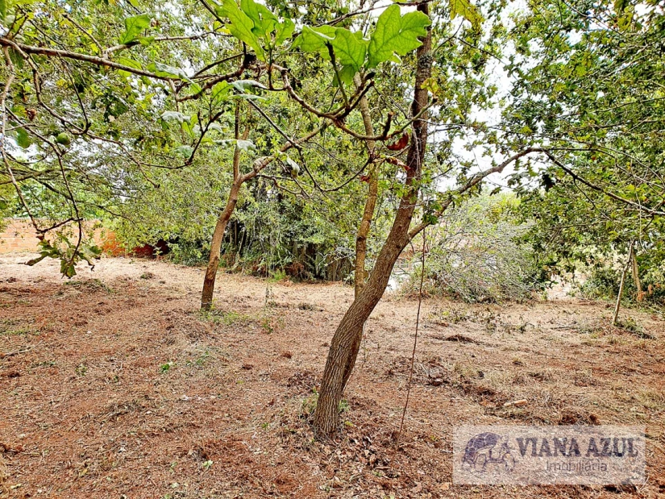 Terreno para Venda em Carreço Foto 6