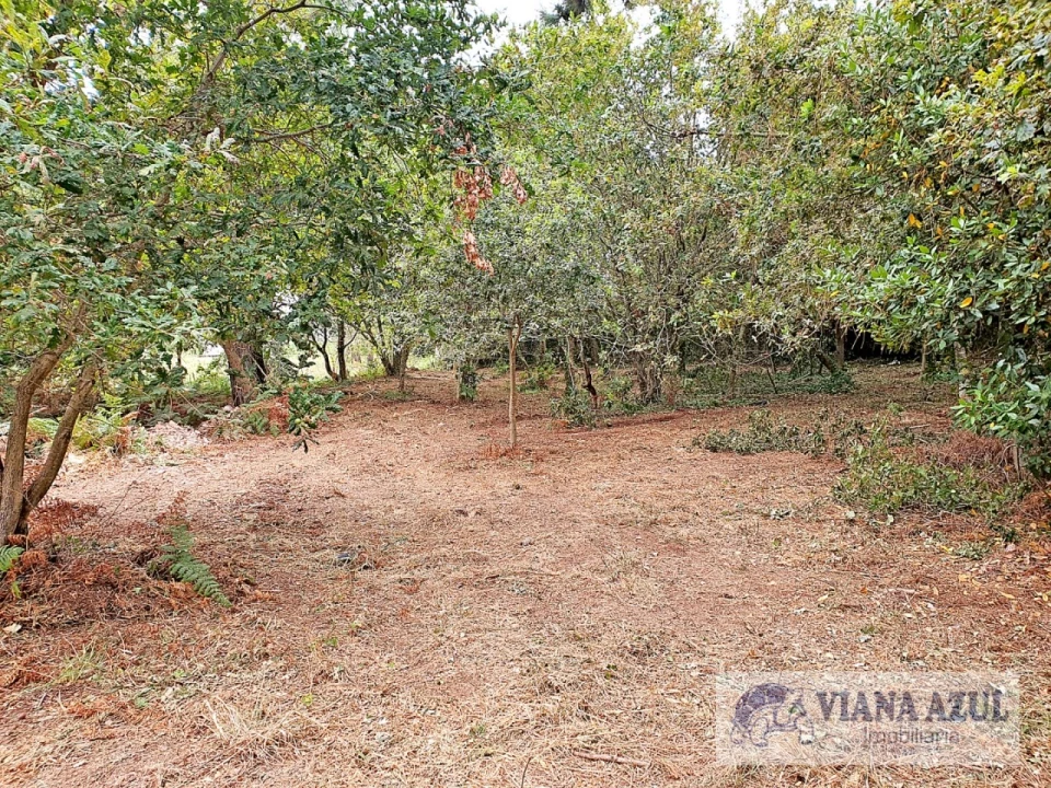 Terreno para Venda em Carreço Foto 7