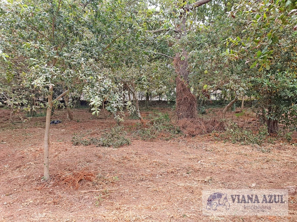 Terreno para Venda em Carreço Foto 9