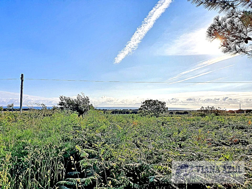 Terreno para Venda em Carreço Foto 10