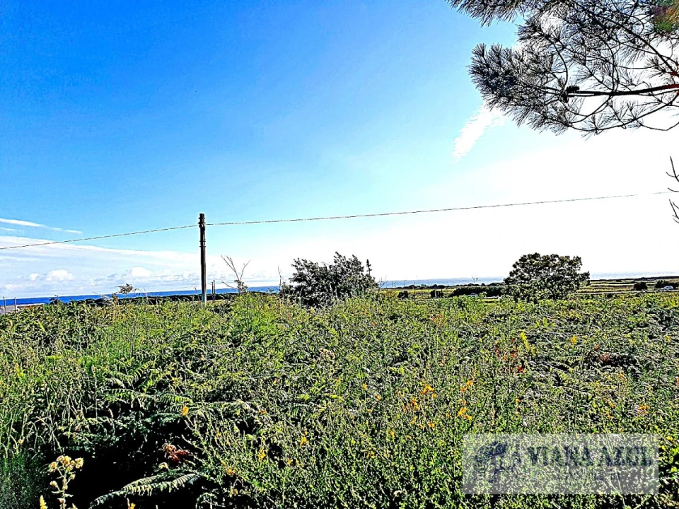 Terreno para Venda em Carreço Foto 11