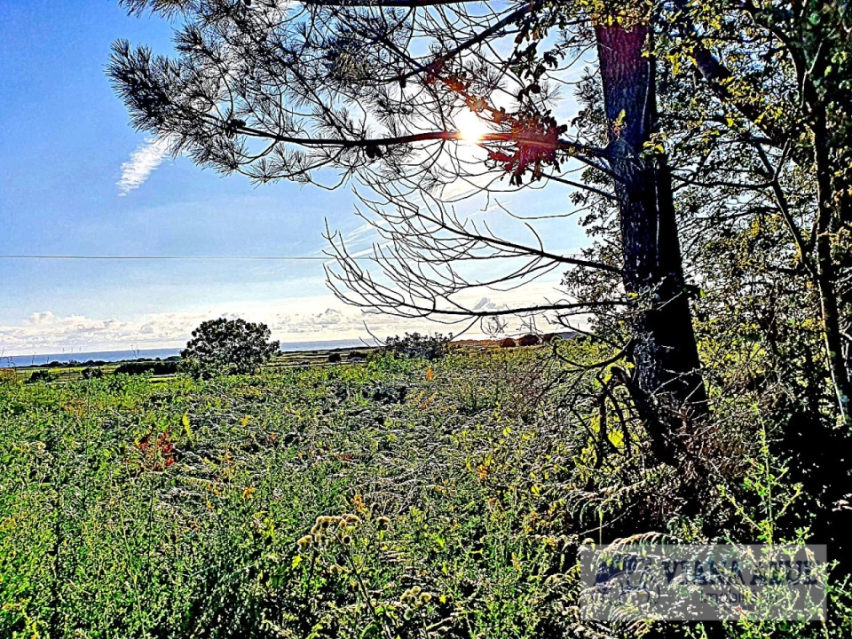 Terreno para Venda em Carreço Foto 12