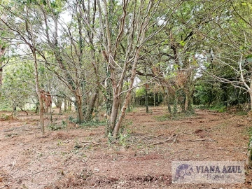 Terreno para Venda em Carreço